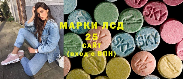 ГАЛЛЮЦИНОГЕННЫЕ ГРИБЫ Алзамай