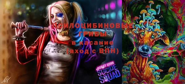 a pvp Алексин