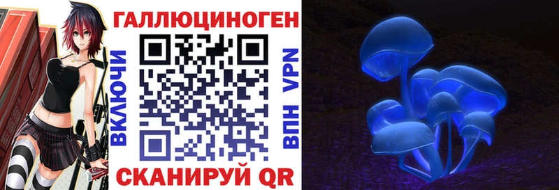 Псилоцибиновые грибы прущие грибы  сколько стоит  Приморск 